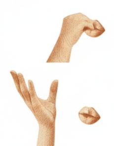 ジェスチャー　Beautiful!：美しい！最高！